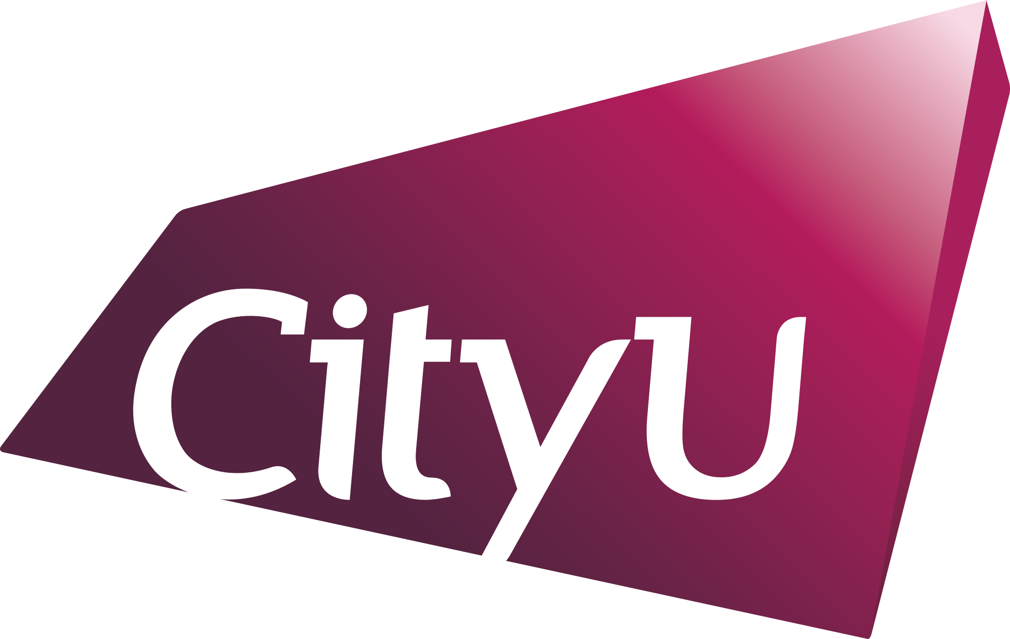 CityU_logo_2015.svg.png